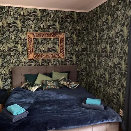 Apartment Sopocka Oaza *